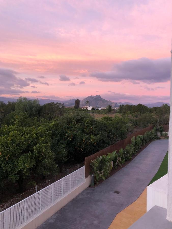 Sunny Denia Beachside Apartment with Pool Exterior photo